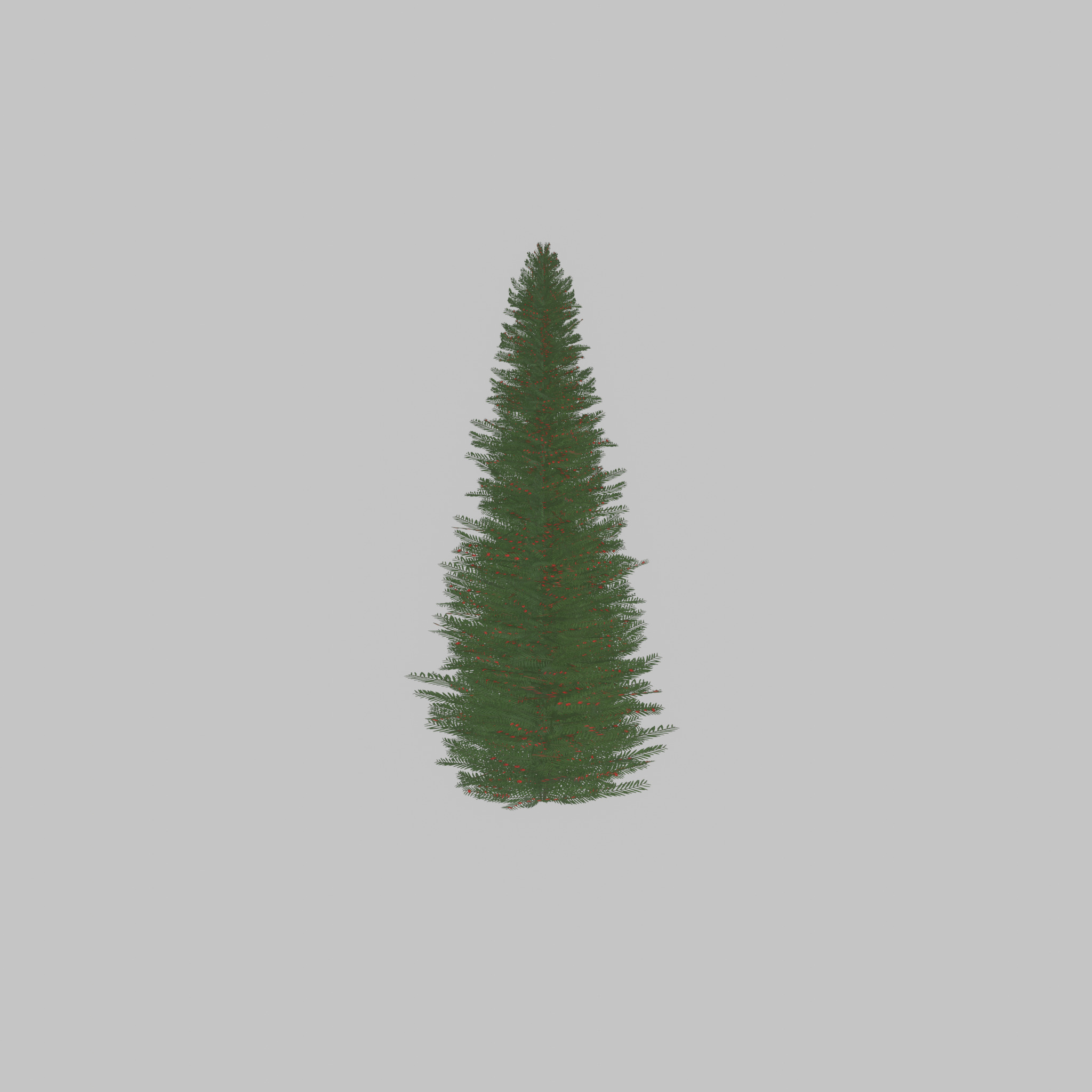 Taxus baccata summer 5000mm Low-poly 3D model_43