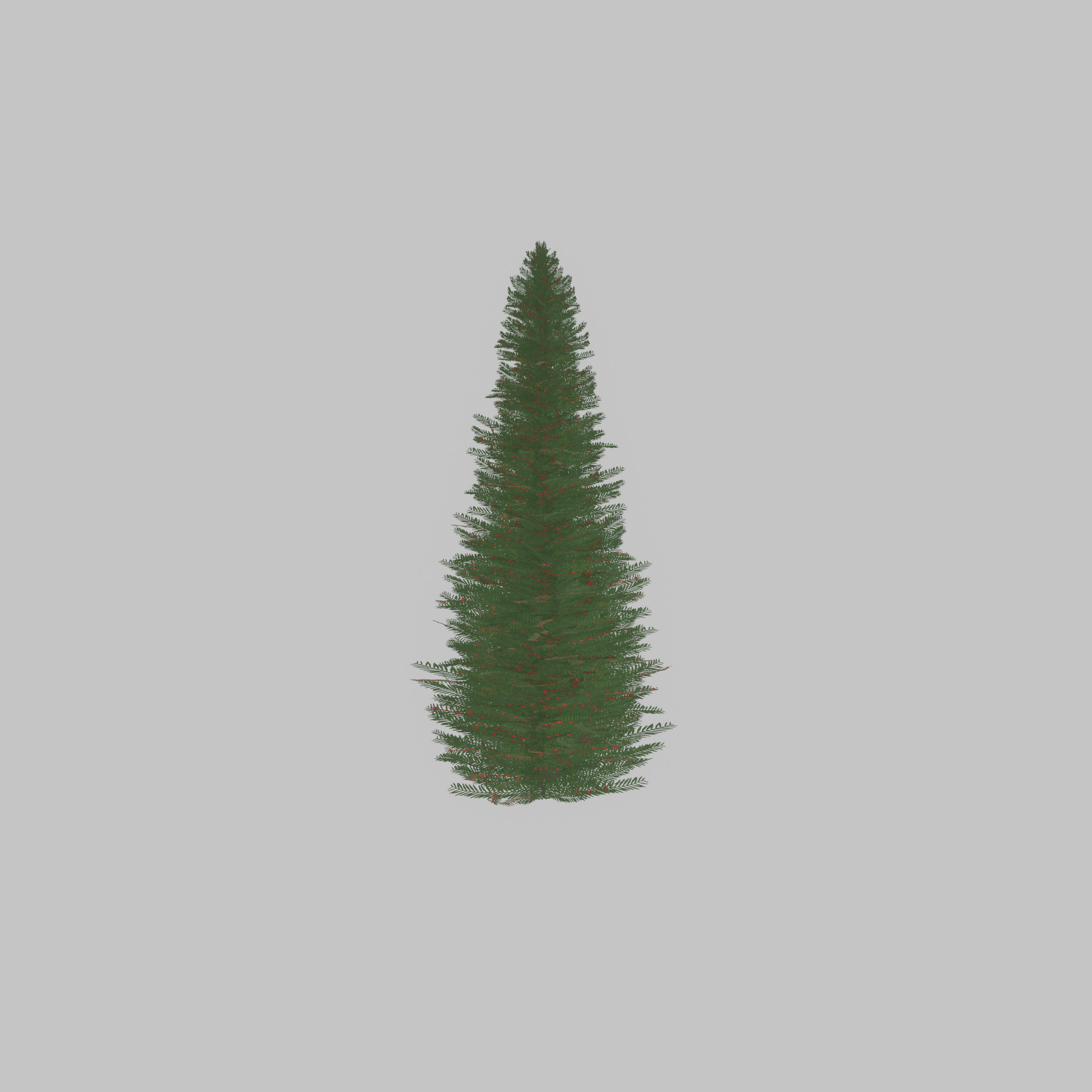 Taxus baccata summer 5000mm Low-poly 3D model_29