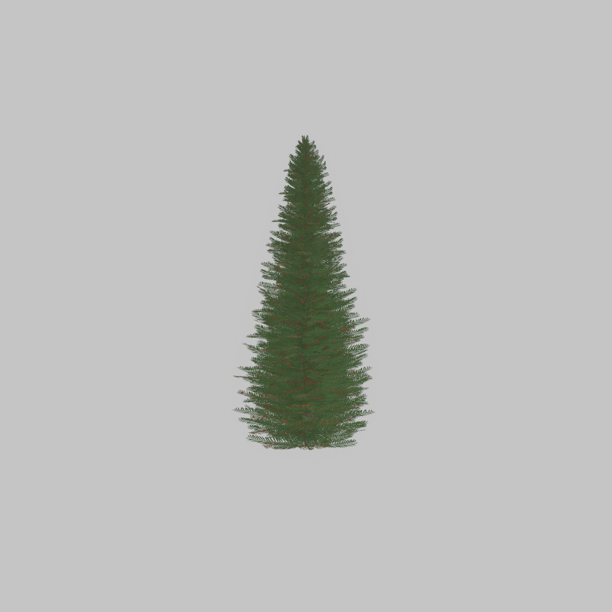 Taxus baccata summer 5000mm Low-poly 3D model_31