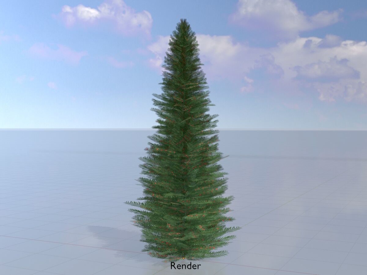 Taxus baccata summer 5000mm Low-poly 3D model_15