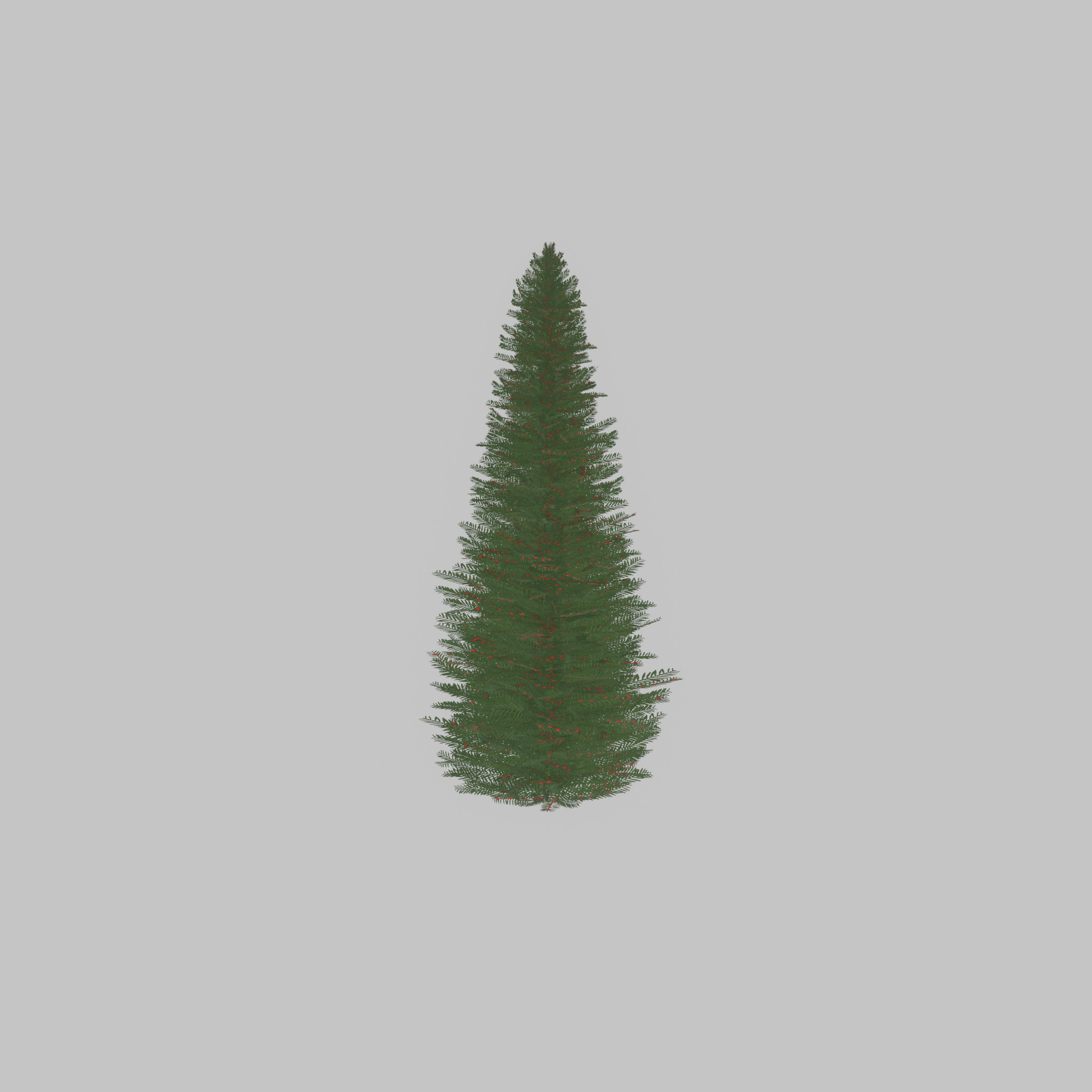 Taxus baccata summer 5000mm Low-poly 3D model_50
