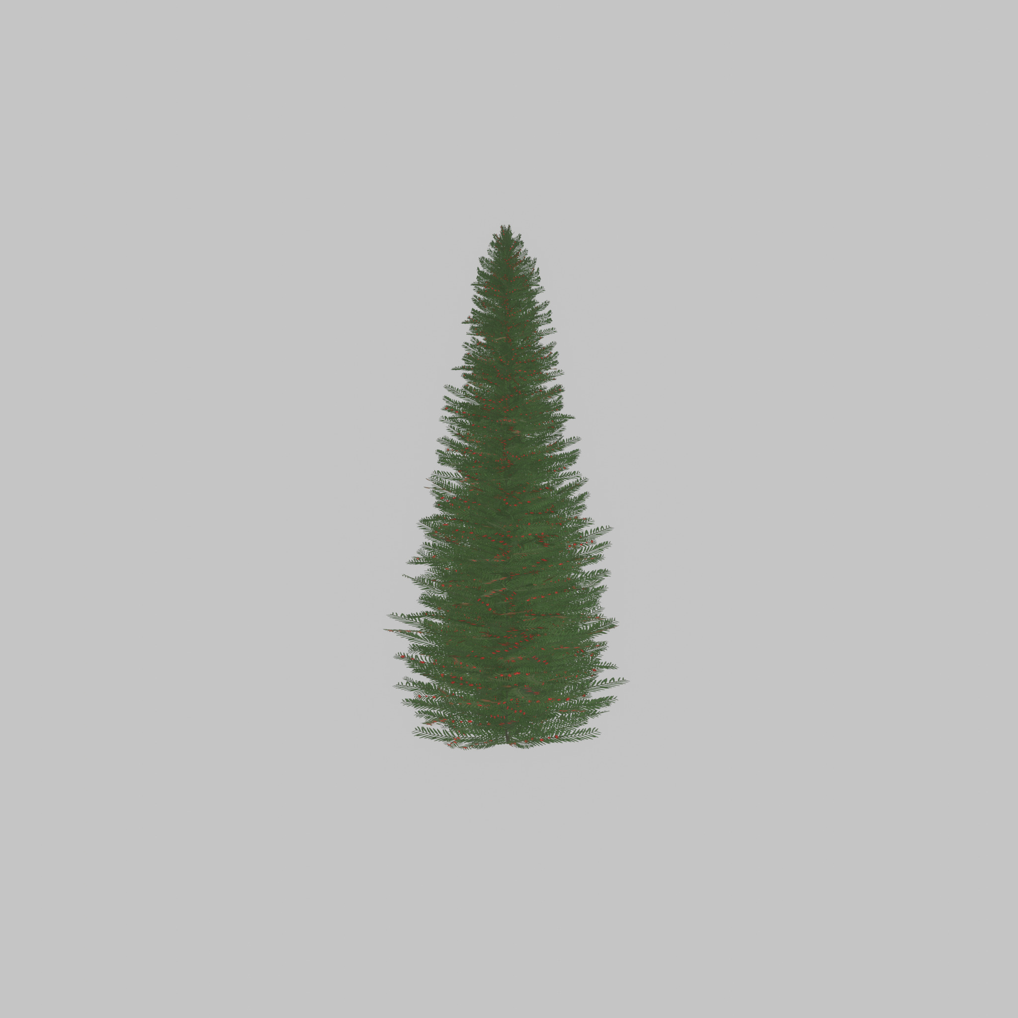 Taxus baccata summer 5000mm Low-poly 3D model_30