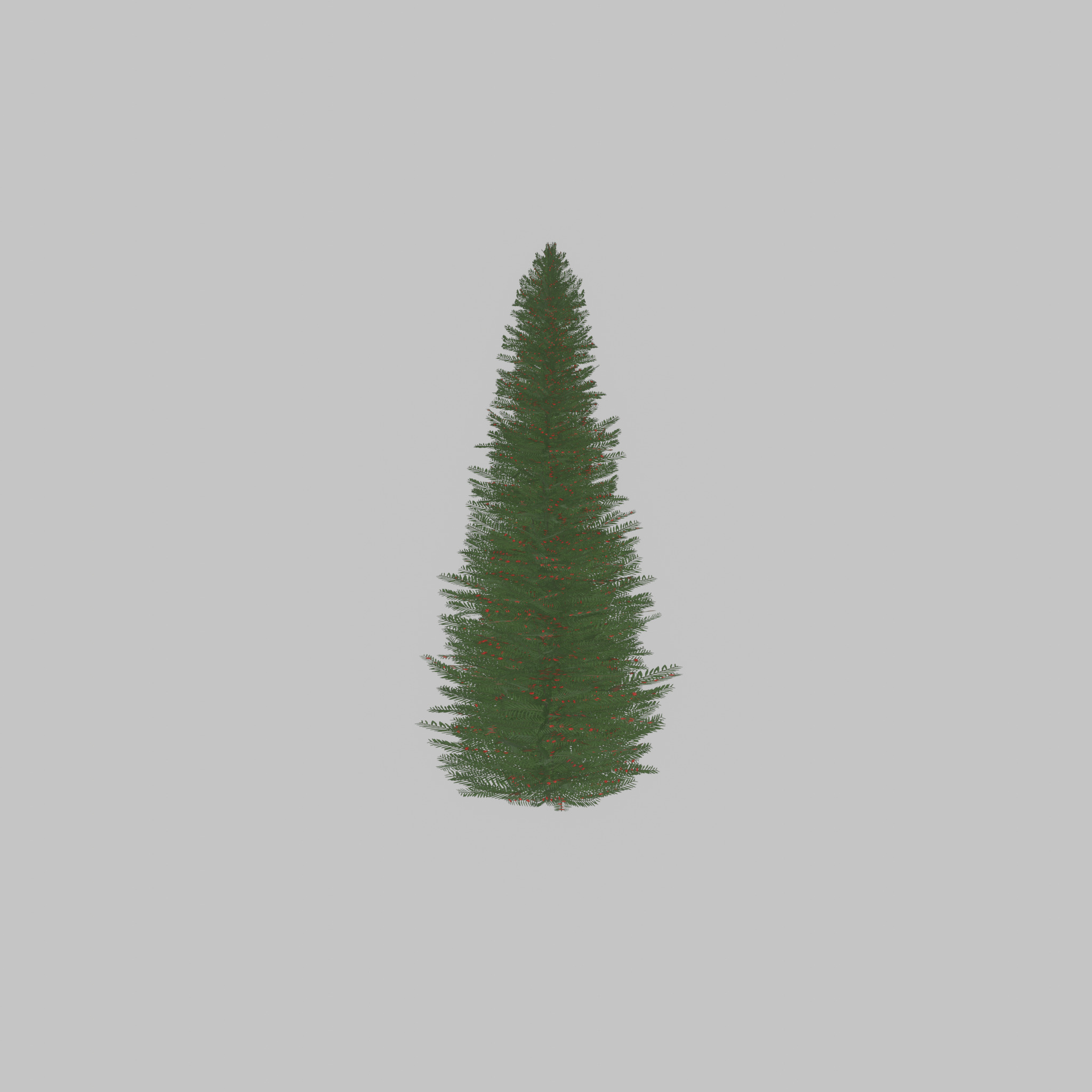 Taxus baccata summer 5000mm Low-poly 3D model_49
