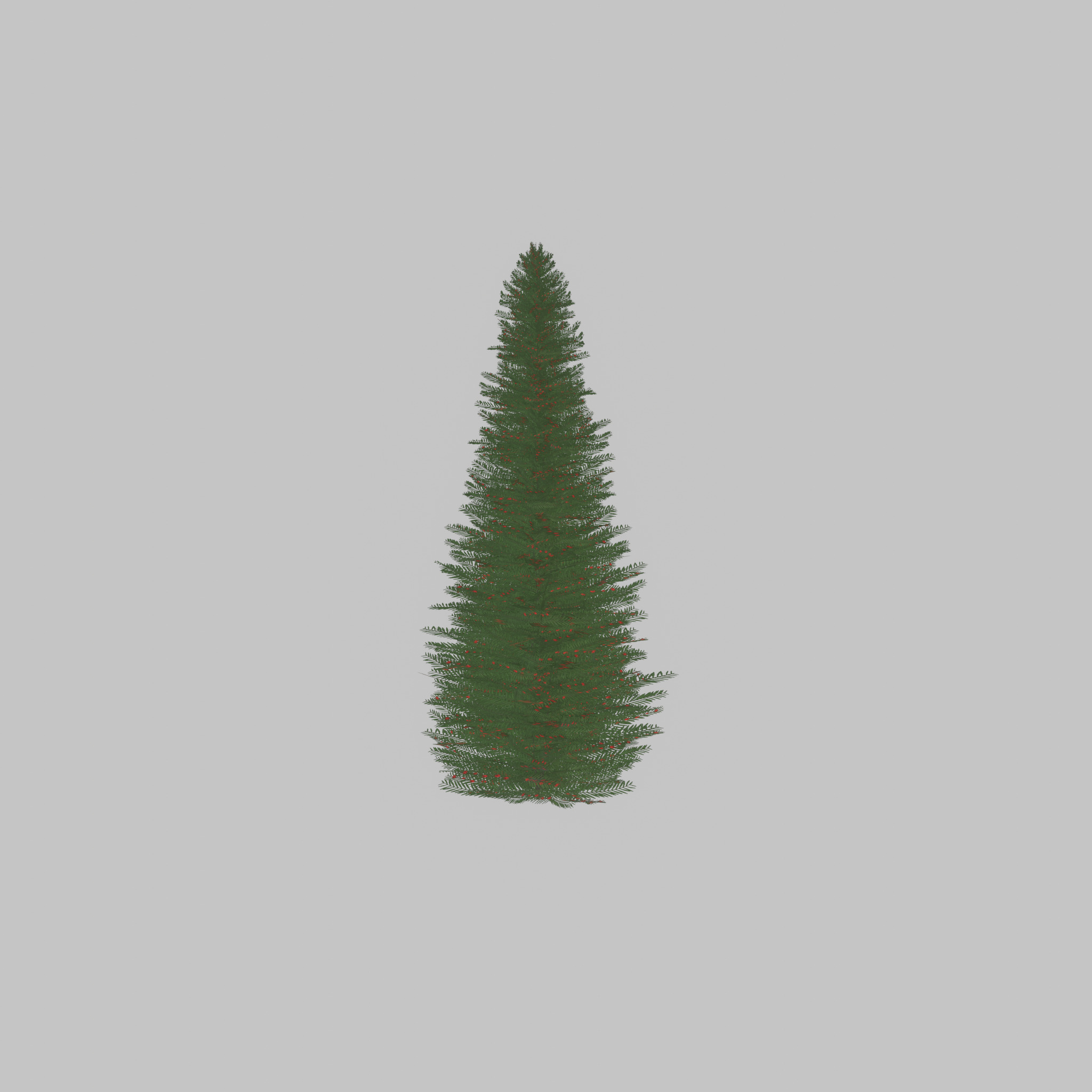 Taxus baccata summer 5000mm Low-poly 3D model_56