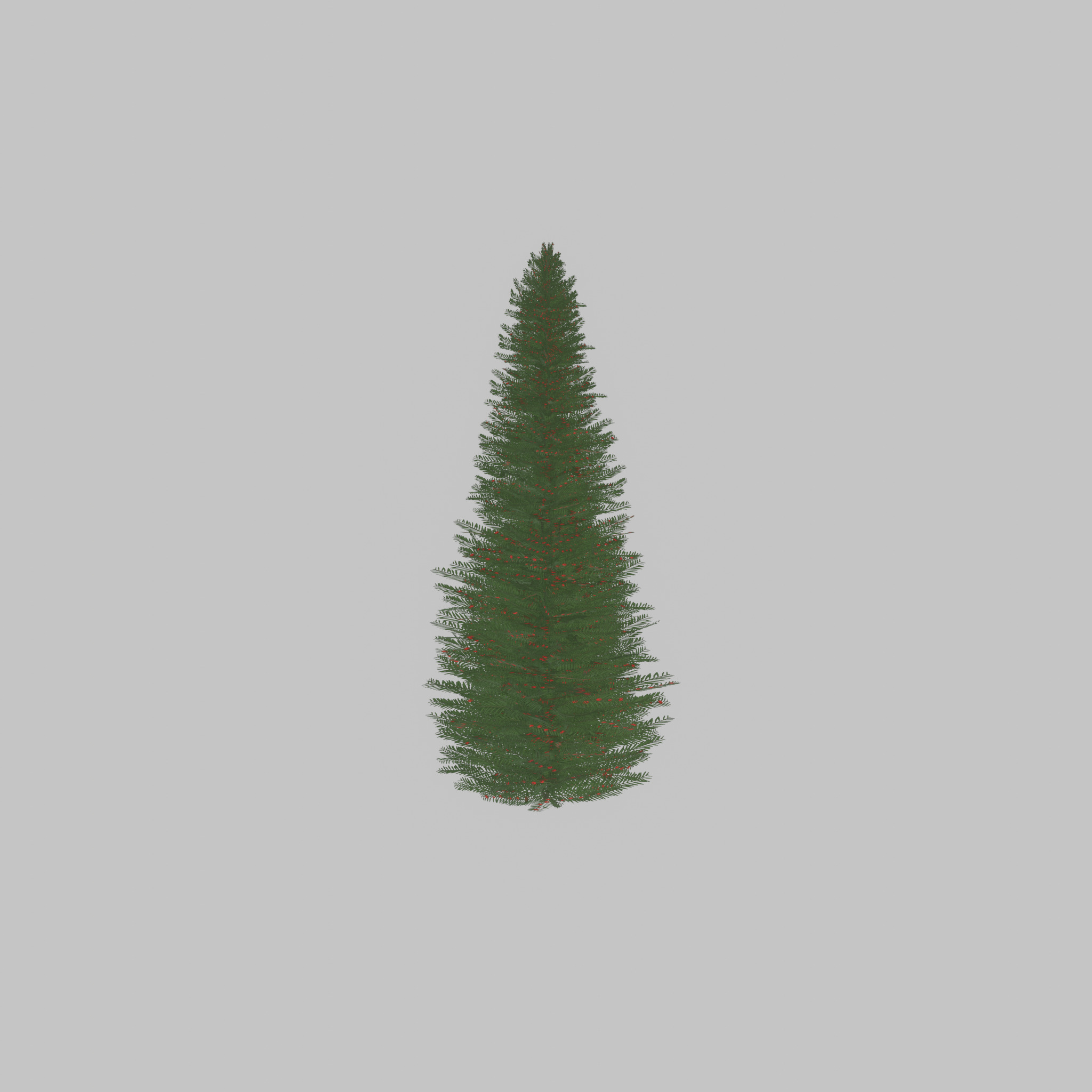 Taxus baccata summer 5000mm Low-poly 3D model_21