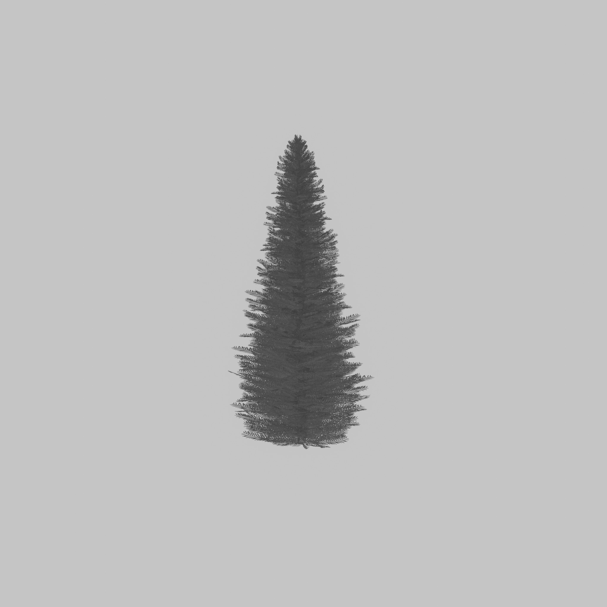 Taxus baccata summer 5000mm Low-poly 3D model_22