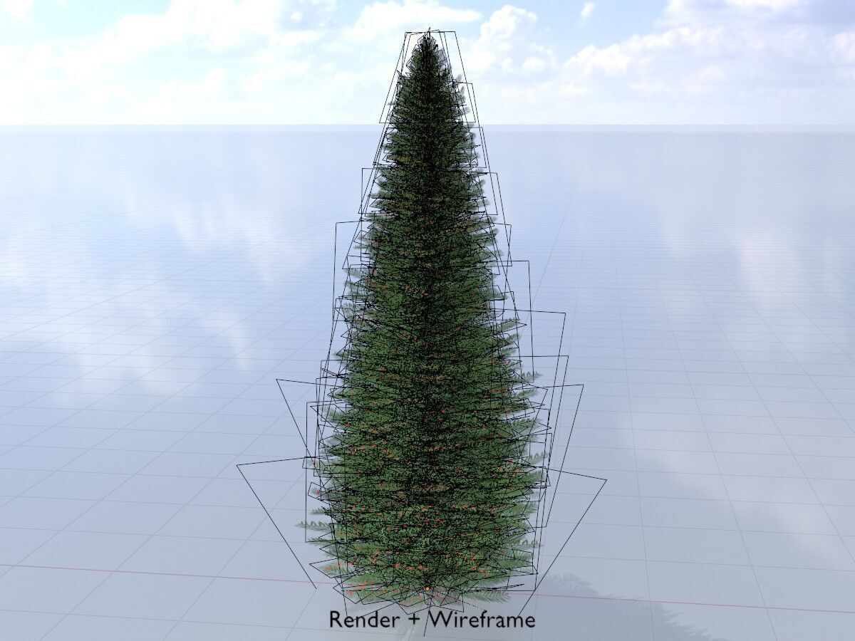 Taxus baccata summer 5000mm Low-poly 3D model_5