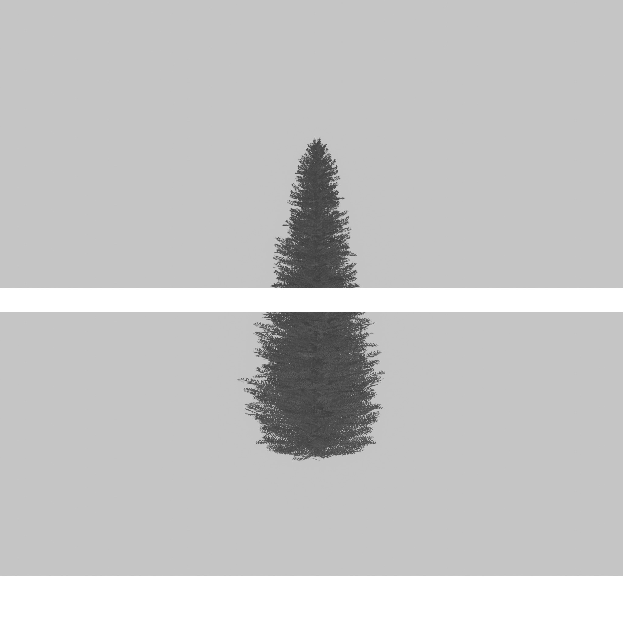 Taxus baccata summer 5000mm Low-poly 3D model_40