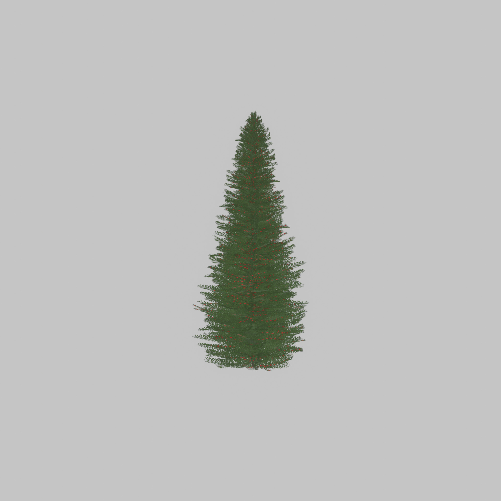 Taxus baccata summer 5000mm Low-poly 3D model_47