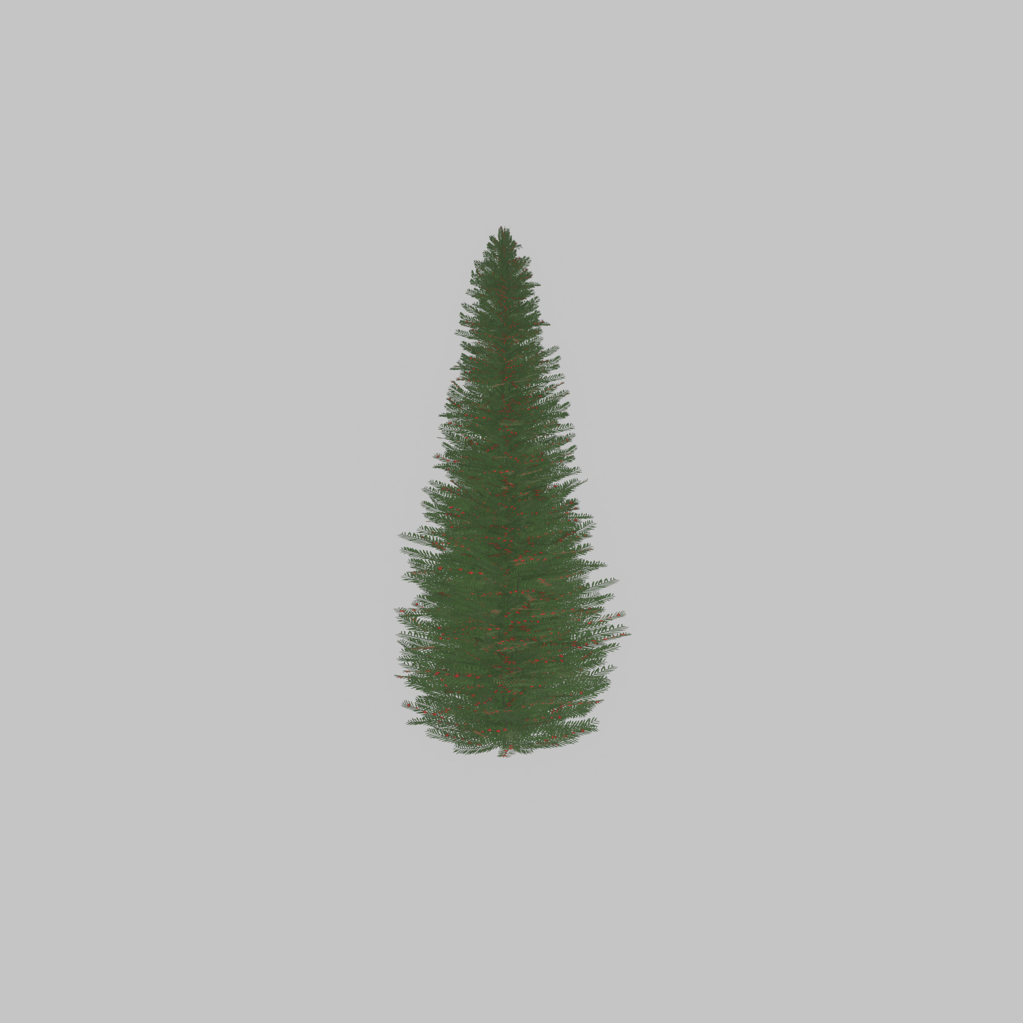 Taxus baccata summer 5000mm Low-poly 3D model_26