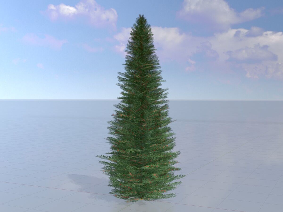 Taxus baccata summer 5000mm Low-poly 3D model_3