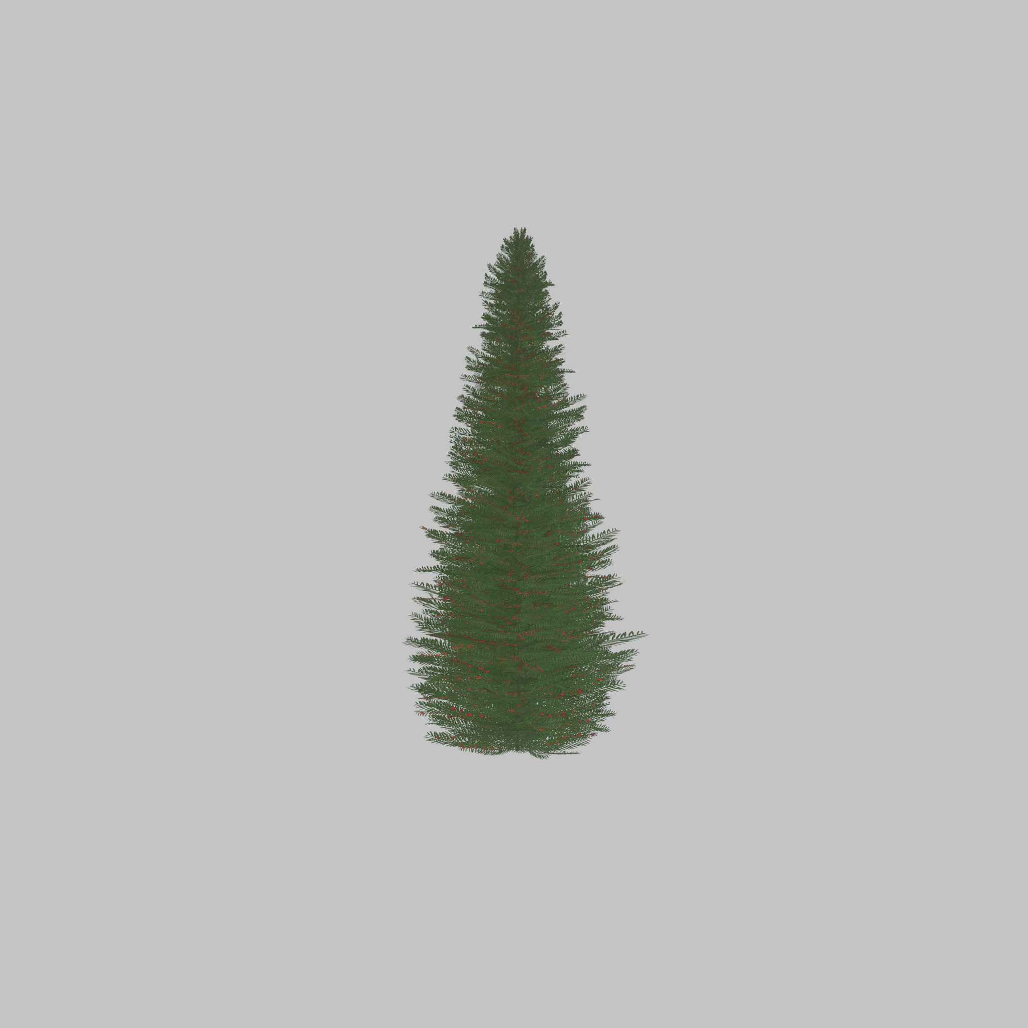 Taxus baccata summer 5000mm Low-poly 3D model_36