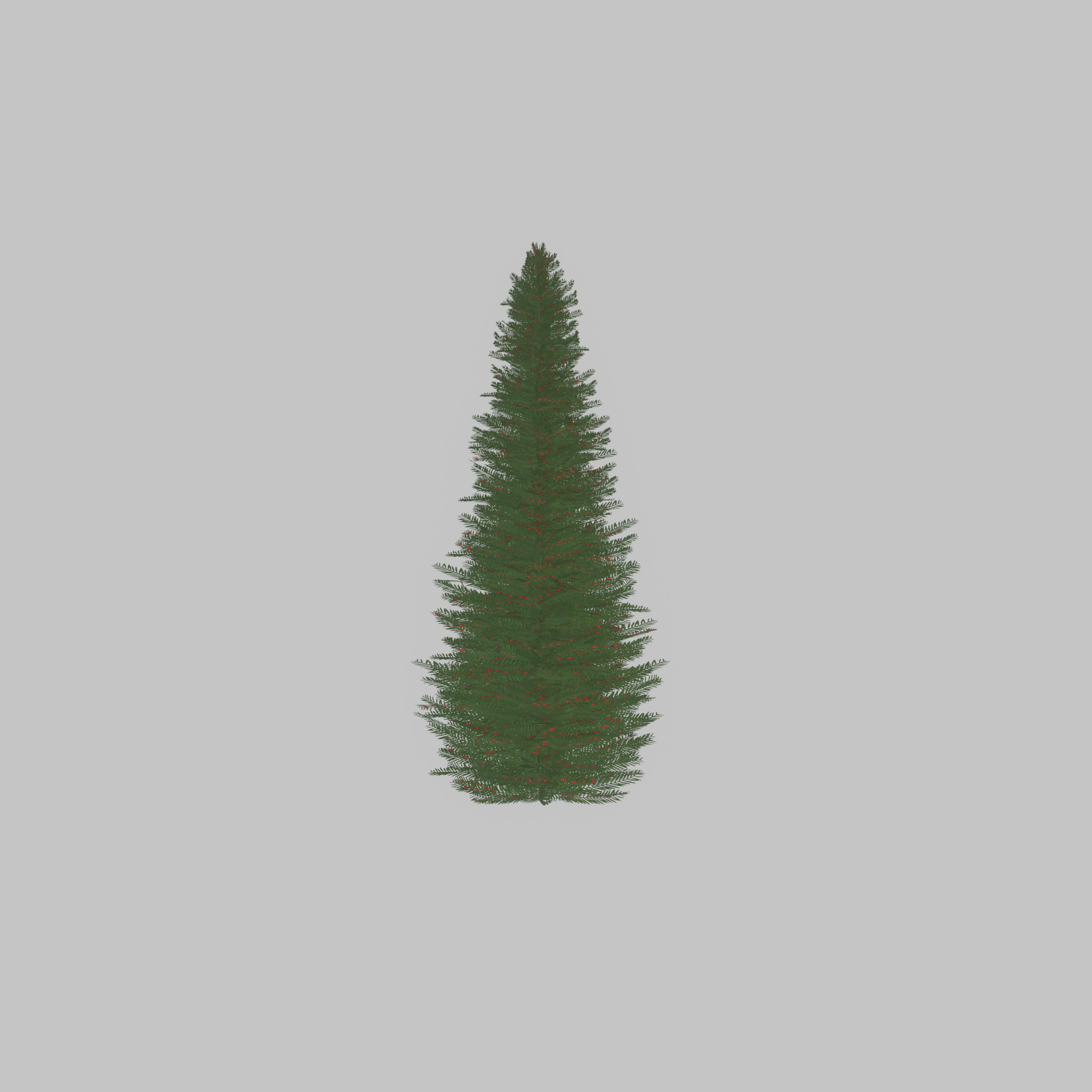 Taxus baccata summer 5000mm Low-poly 3D model_53