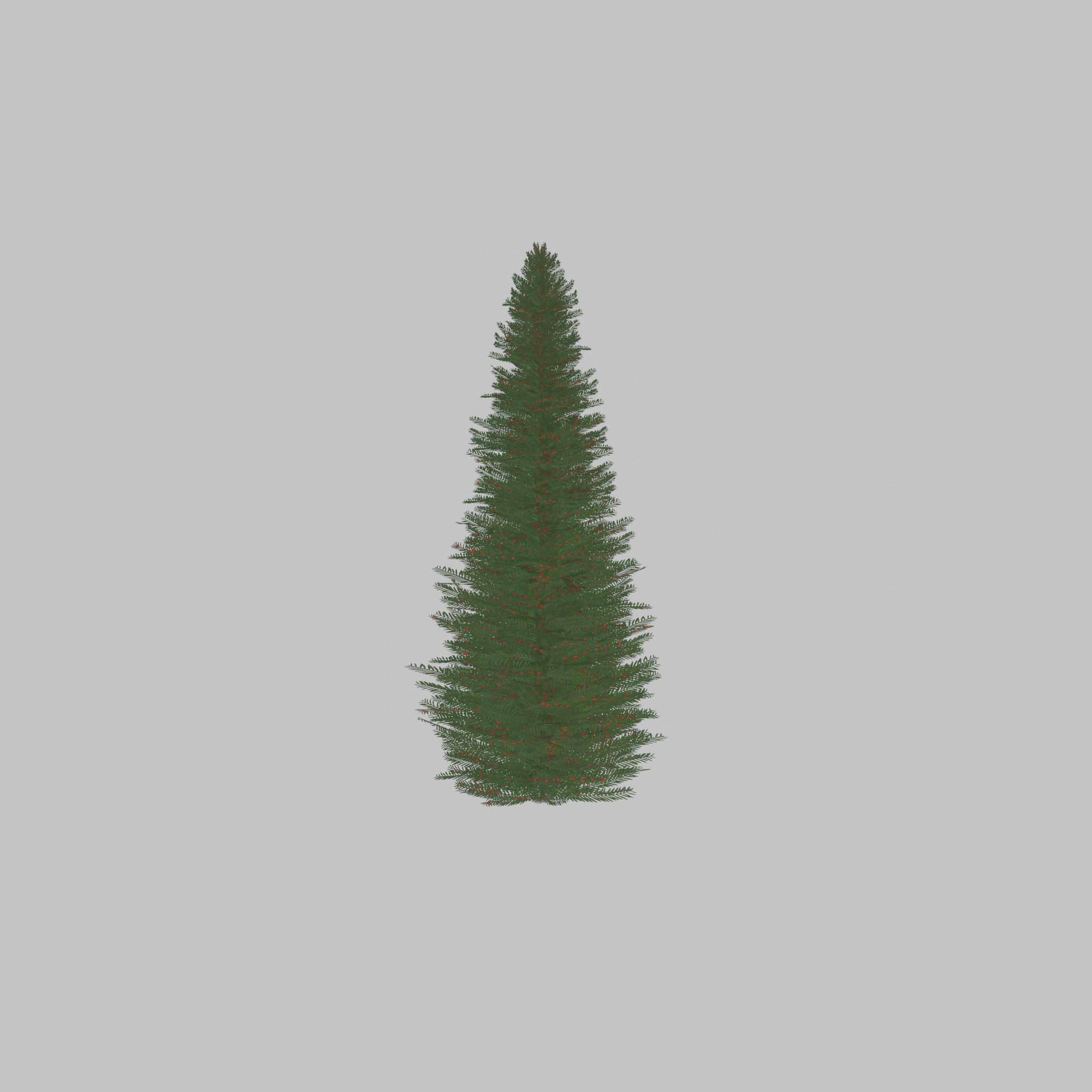 Taxus baccata summer 5000mm Low-poly 3D model_52