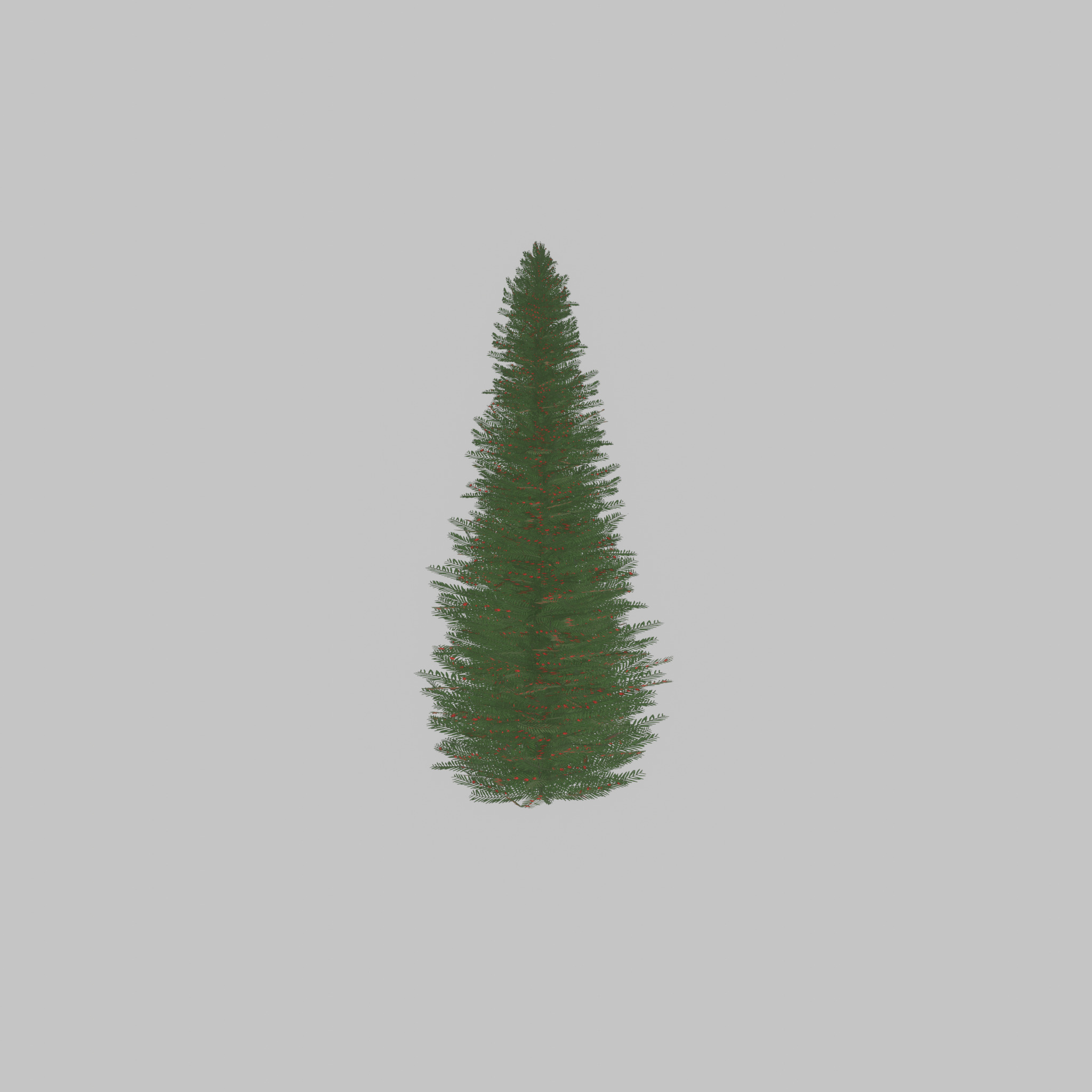 Taxus baccata summer 5000mm Low-poly 3D model_27