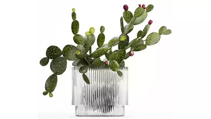 Tropical Flower Bouquet Vase Prickly Pear Cactus 507