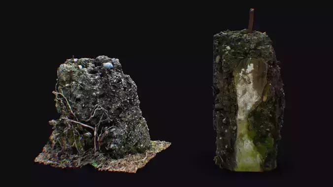 Old Remain Pillar Covered Moss Roots Beam Concrete Rustic Pole