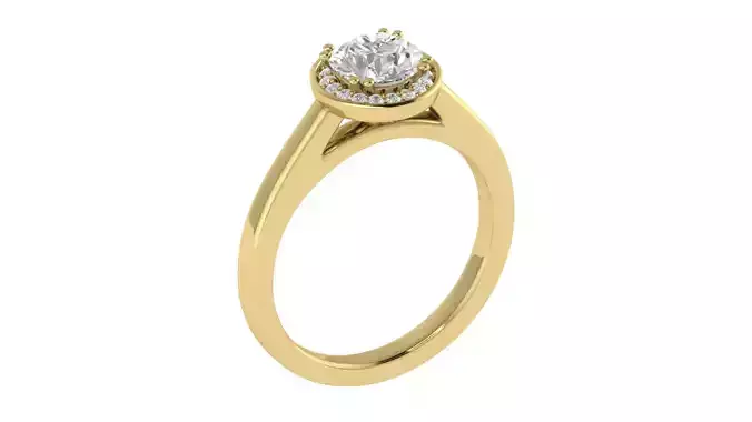 Women Ring  Render 3dm STL OBJ FBX TXT Details