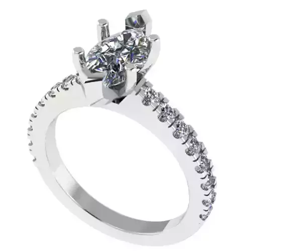 3dm and 2 Stl files setting and shank supported 