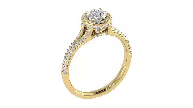 Women Ring  Render 3dm STL OBJ FBX TXT Details