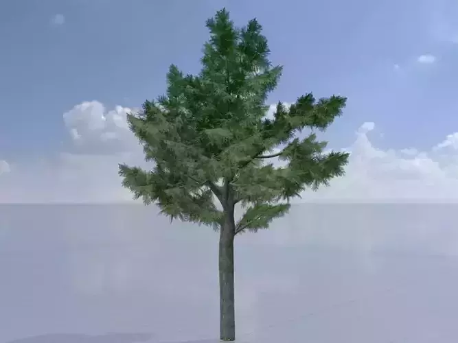 Taxus baccata winter 12000mm