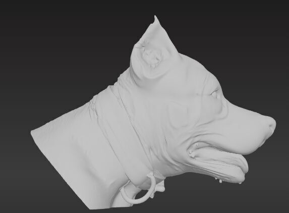 American Staffordshire Terrier Bust 3D print model_3