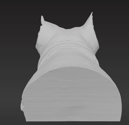 American Staffordshire Terrier Bust 3D print model_4