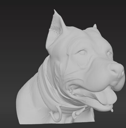 American Staffordshire Terrier Bust 3D print model_2