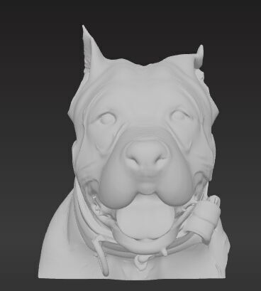 American Staffordshire Terrier Bust 3D print model_1