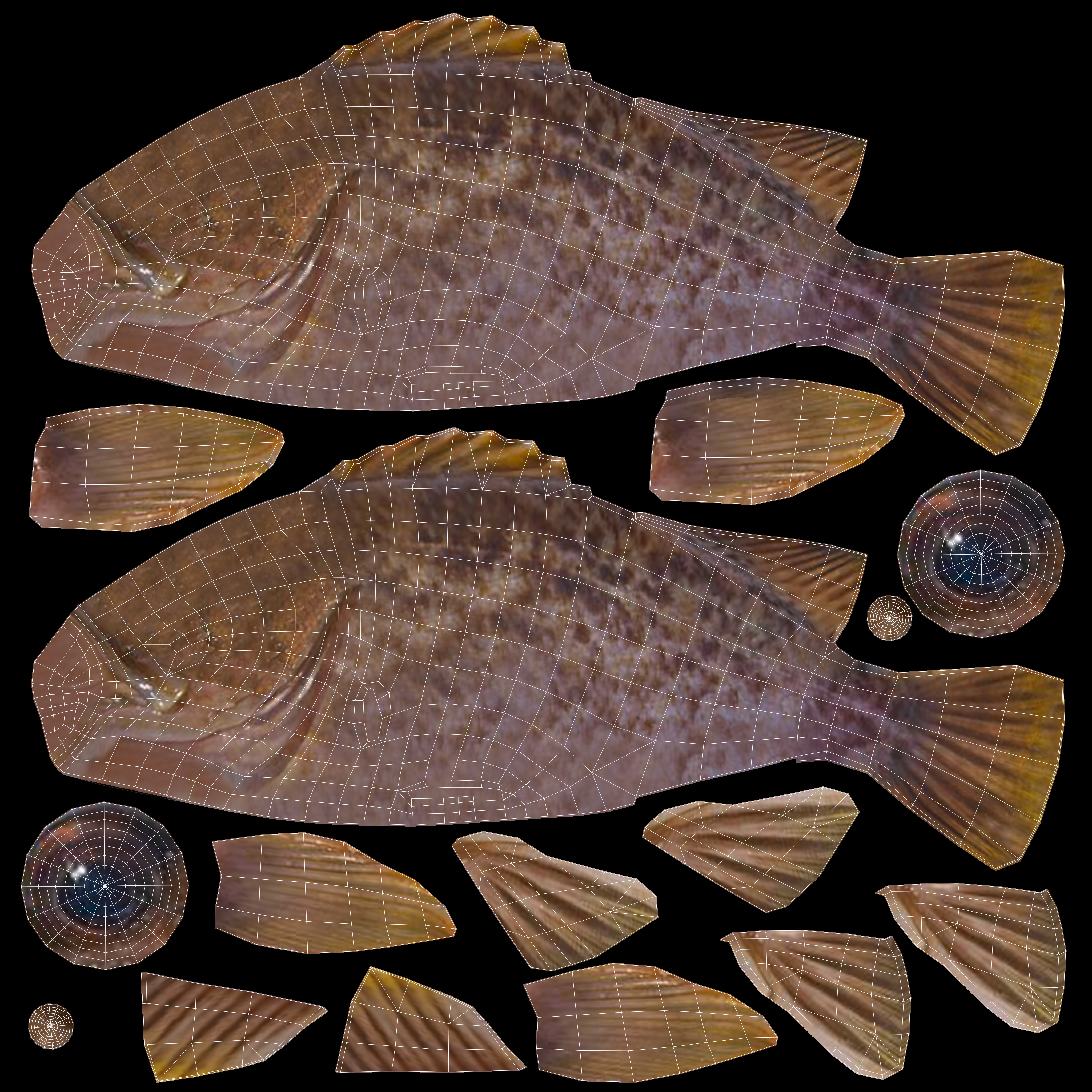 Low-Poly Kelp Rockfish Animated Low-poly 3D model_8