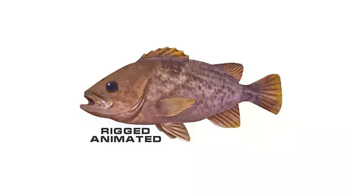 Low-Poly Kelp Rockfish Animated Low-poly 3D model