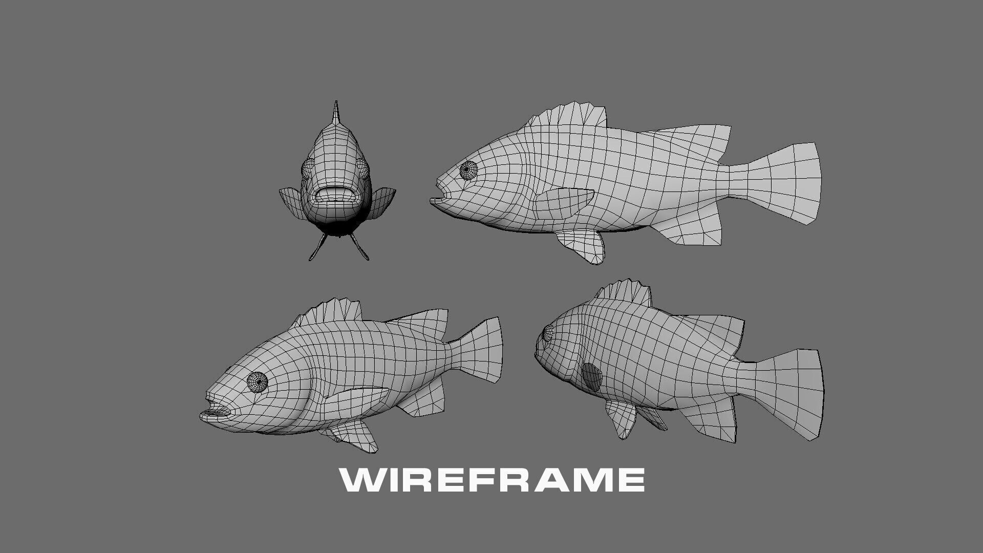 Low-Poly Kelp Rockfish Animated Low-poly 3D model_7