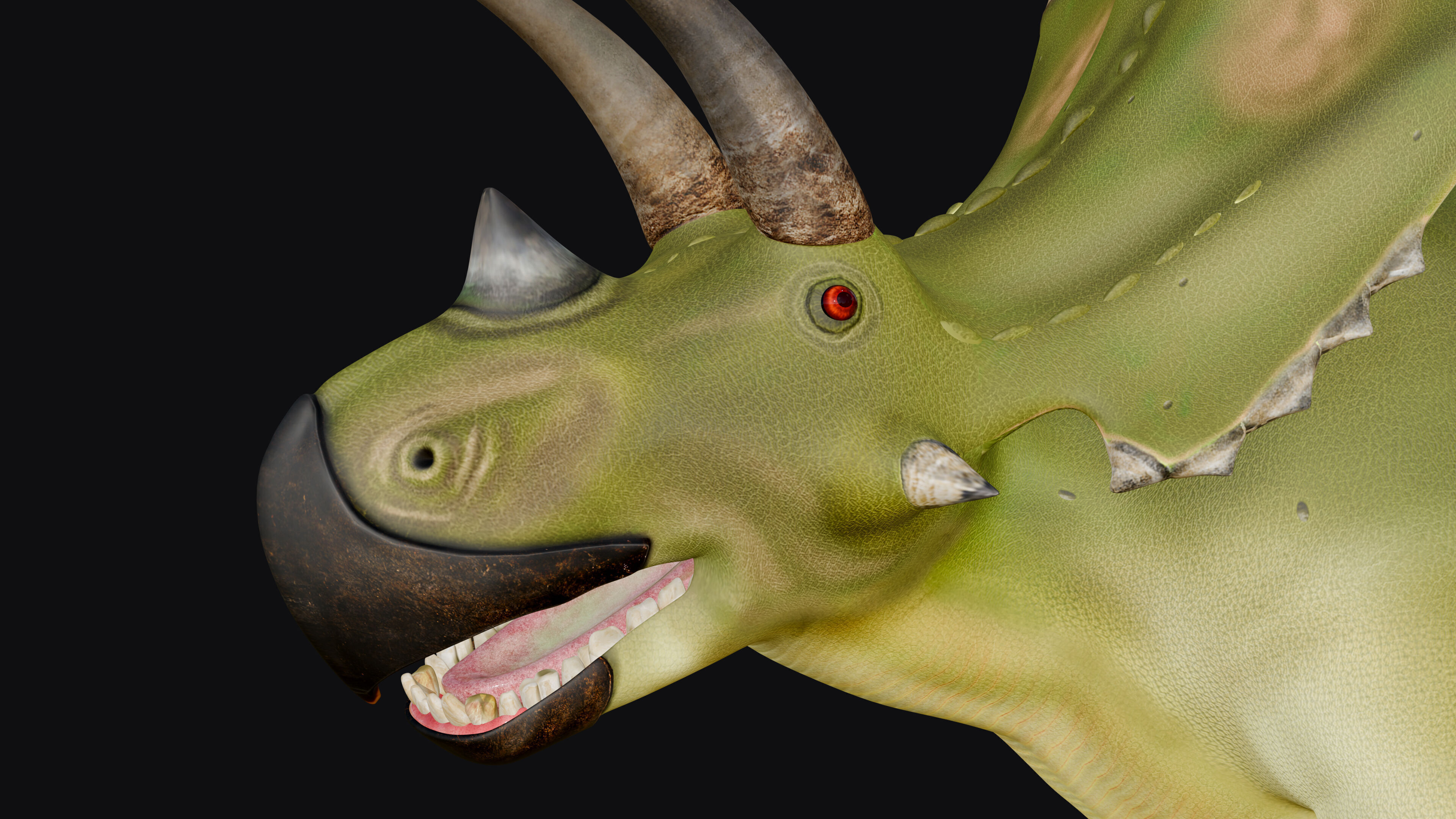  Tuneri Low-poly 3D model_9