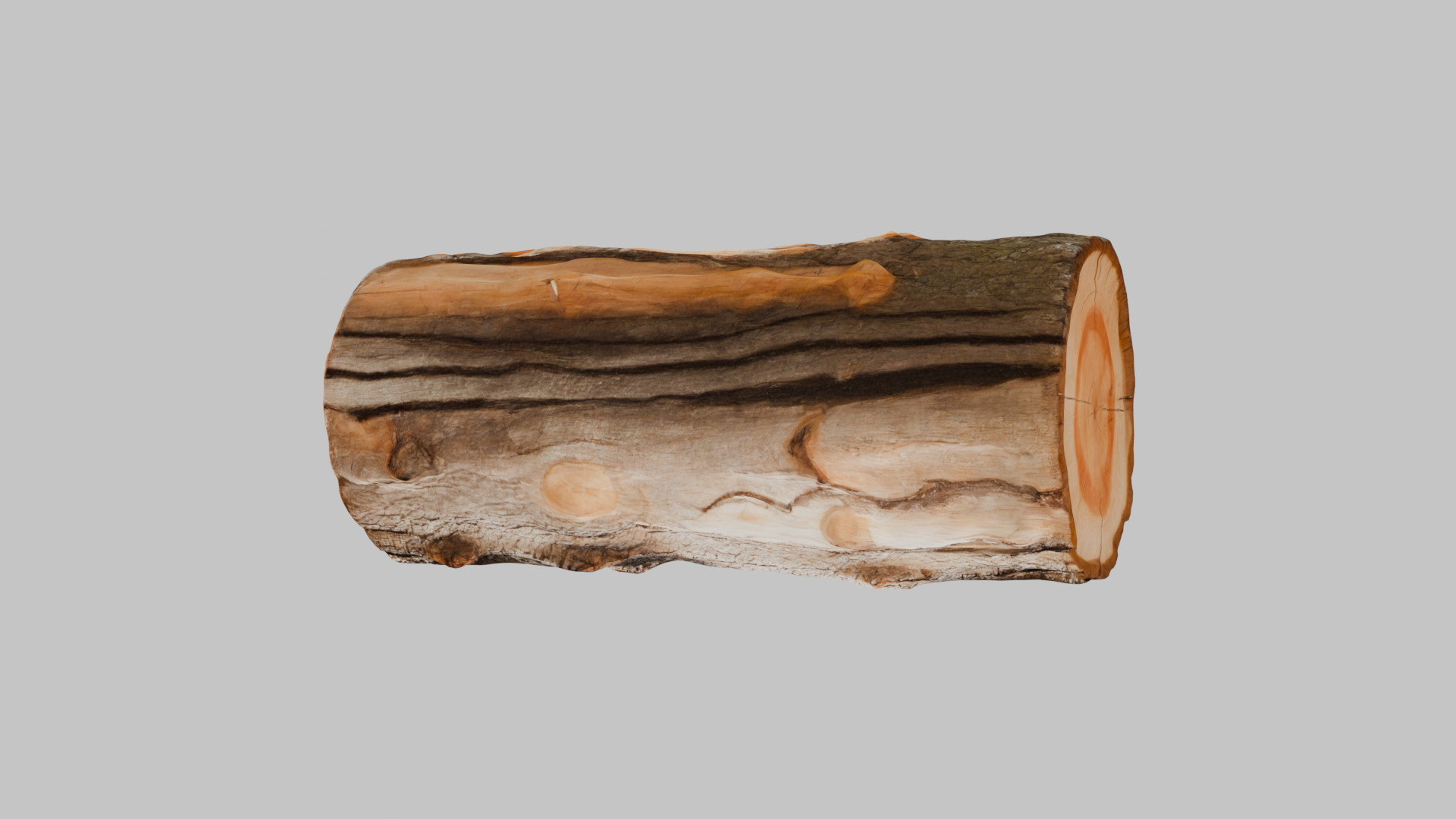 3D Firewood Log - Realistic Model Low-poly 3D model_3