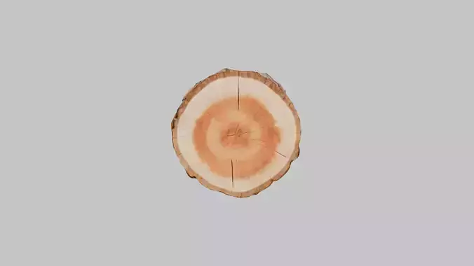 3D Firewood Log - Realistic Model