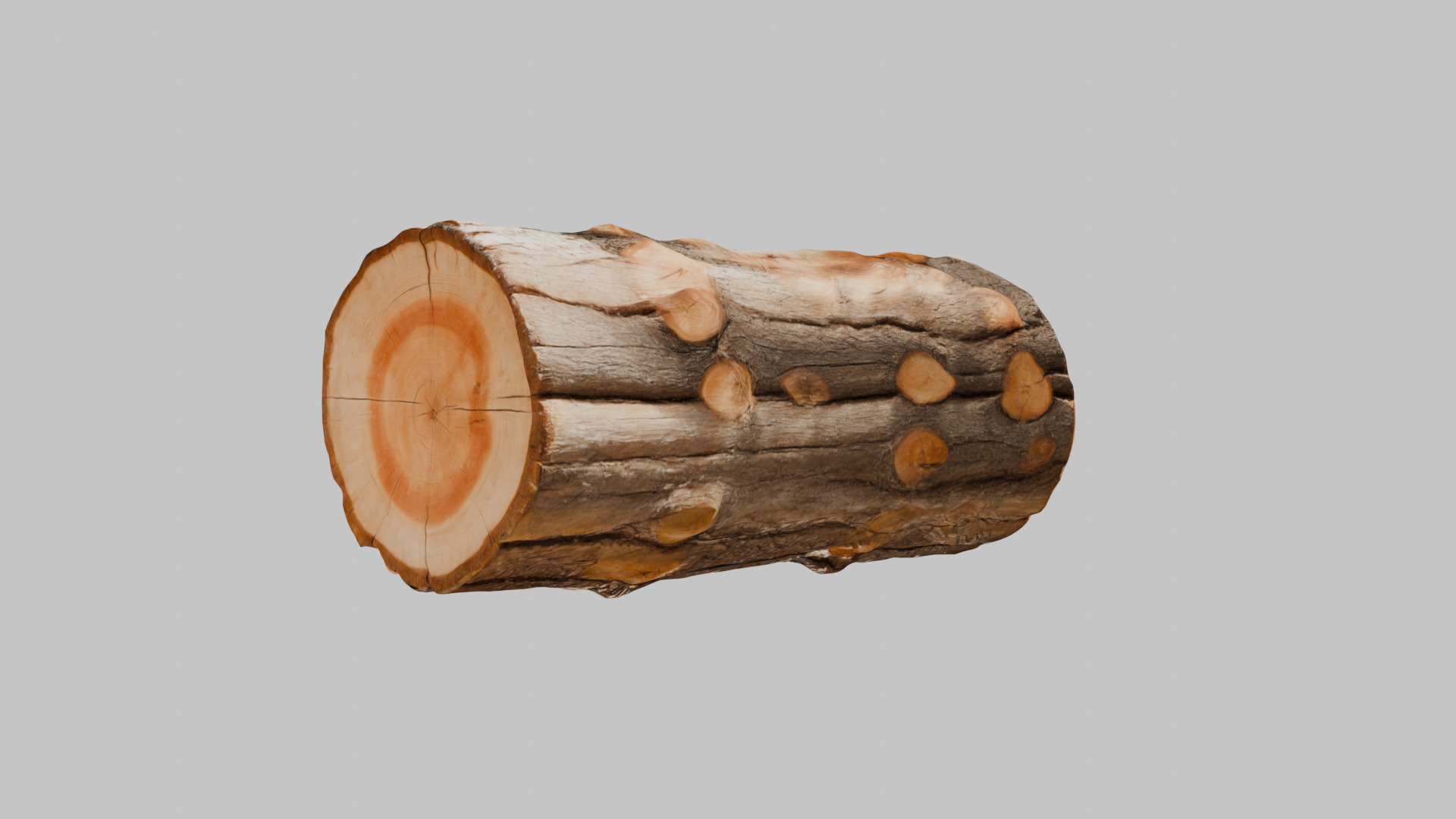 3D Firewood Log - Realistic Model Low-poly 3D model_13