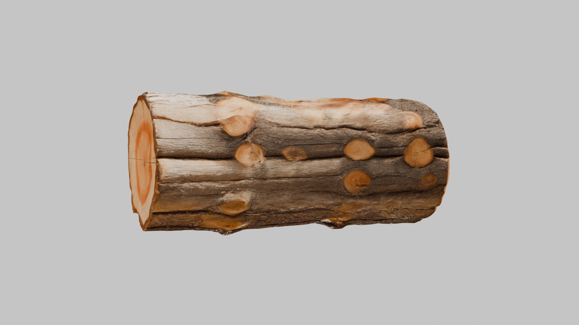 3D Firewood Log - Realistic Model Low-poly 3D model_12