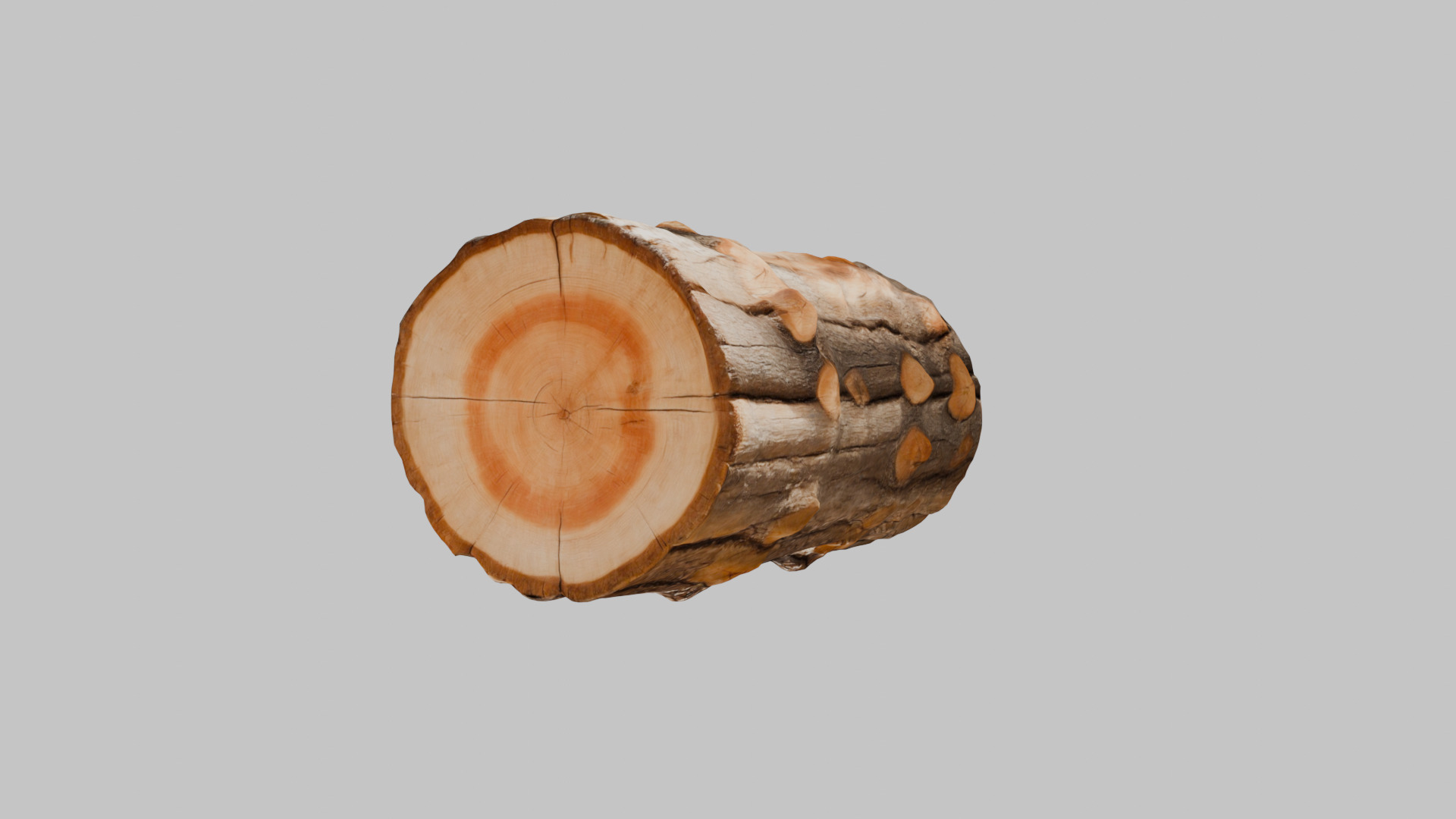 3D Firewood Log - Realistic Model Low-poly 3D model_14