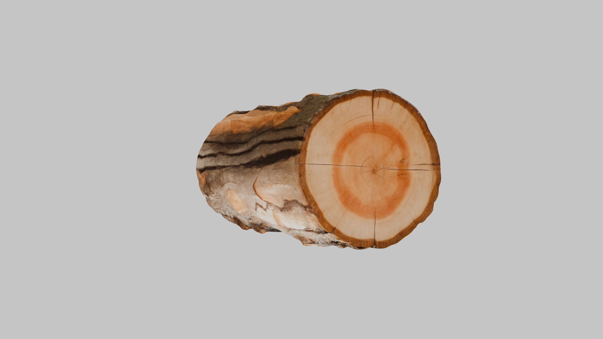 3D Firewood Log - Realistic Model Low-poly 3D model_1
