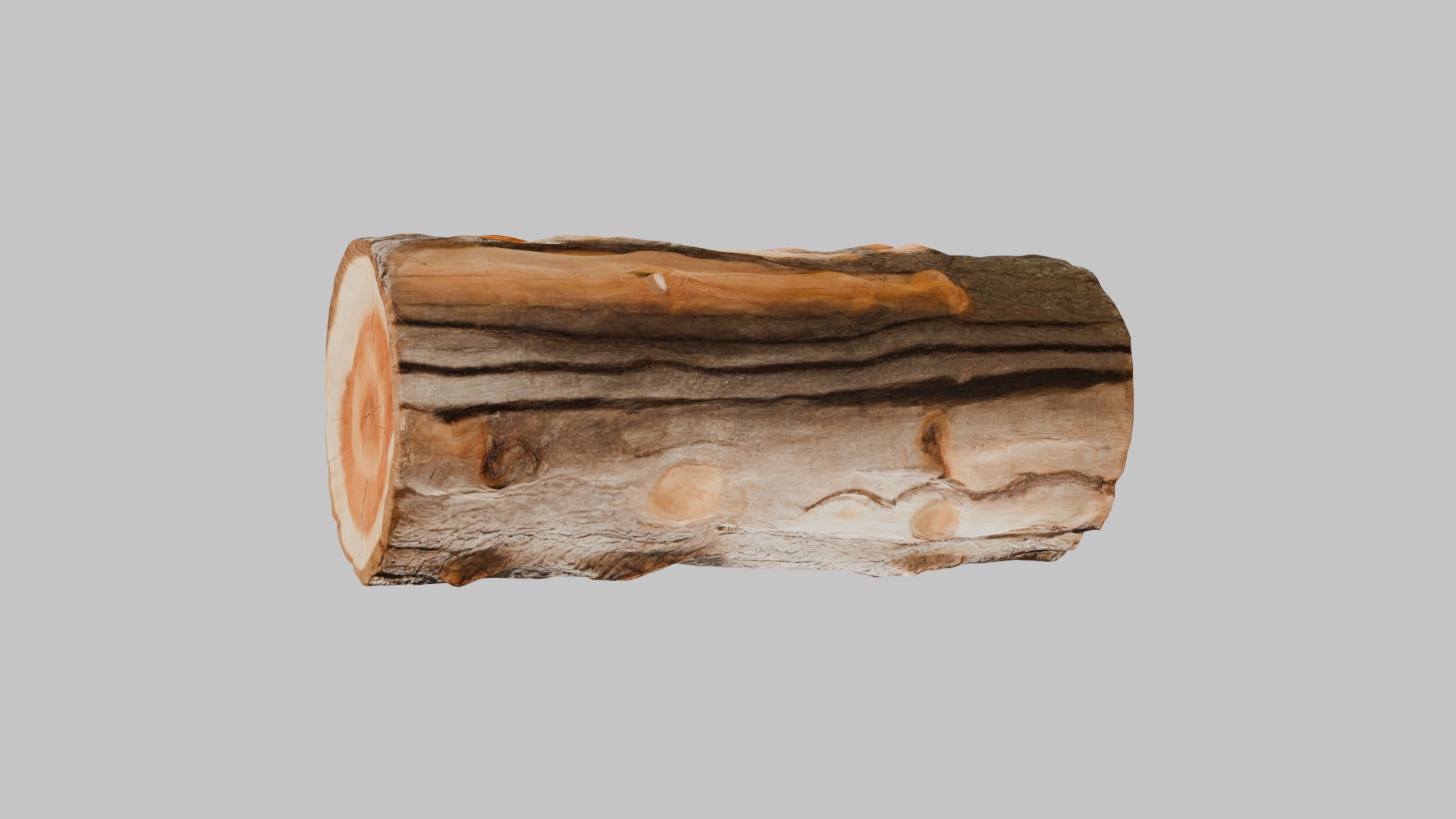 3D Firewood Log - Realistic Model Low-poly 3D model_5