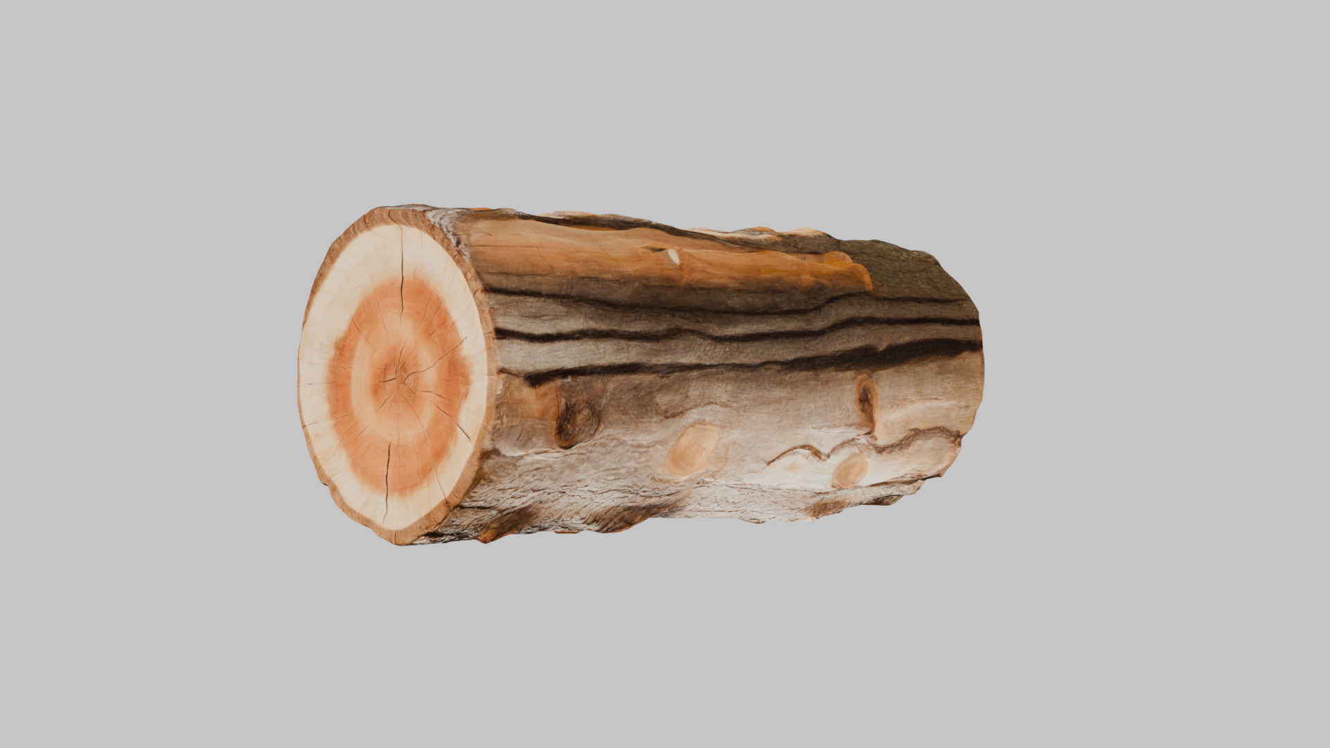 3D Firewood Log - Realistic Model Low-poly 3D model_6