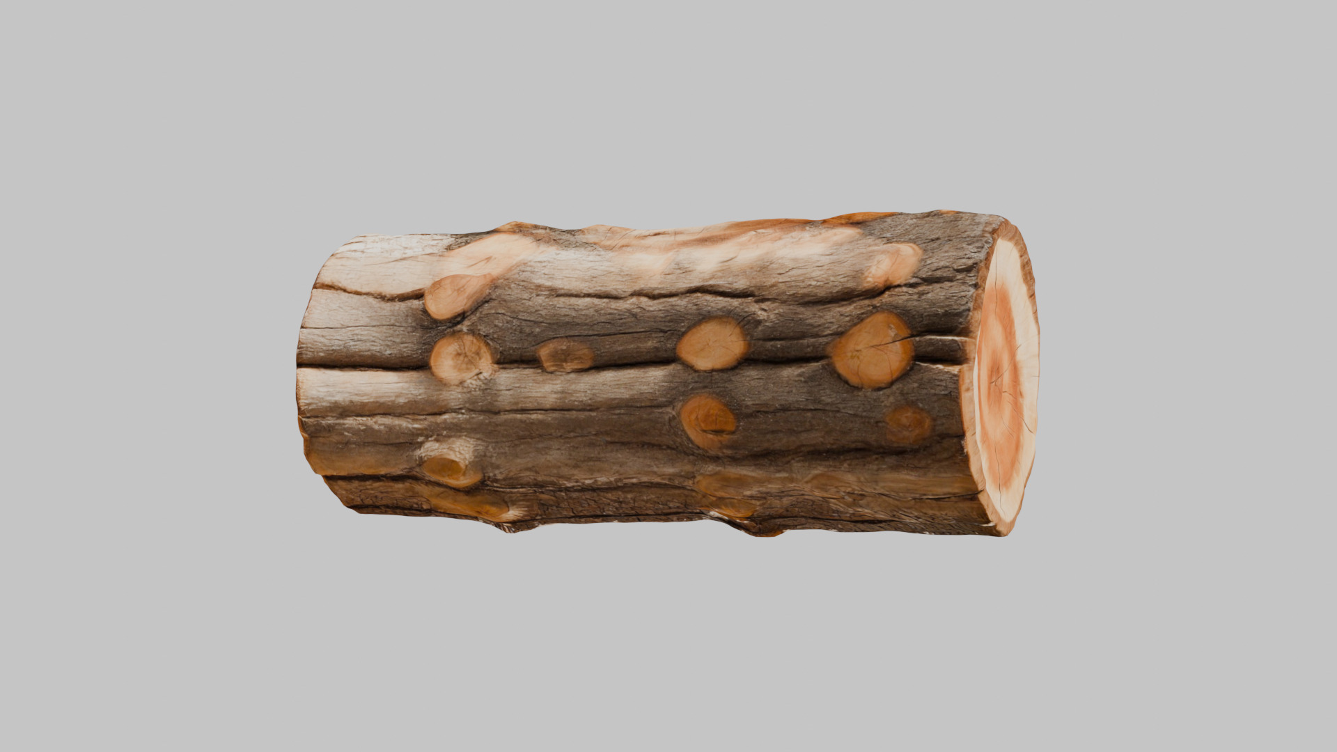 3D Firewood Log - Realistic Model Low-poly 3D model_10