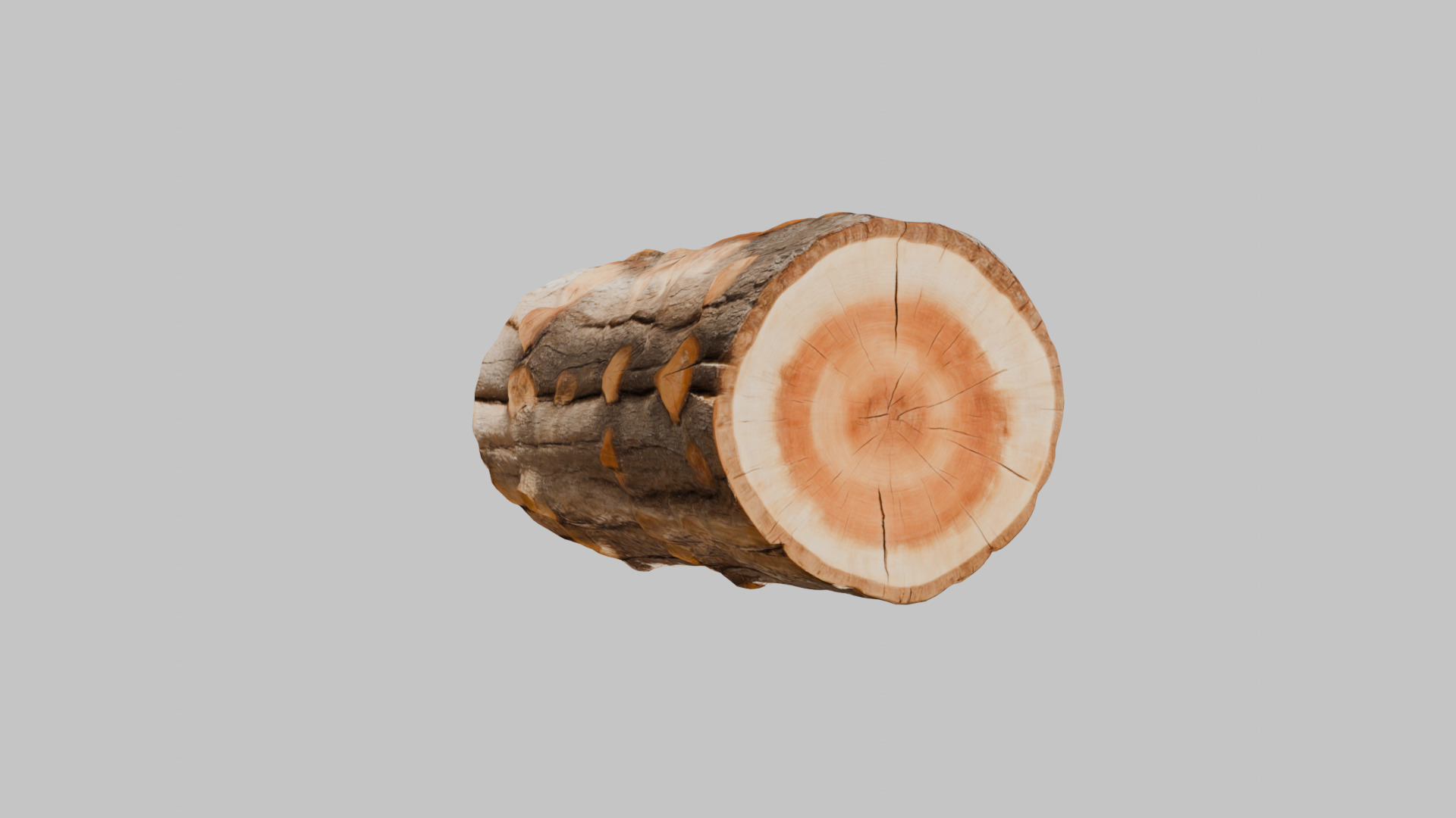 3D Firewood Log - Realistic Model Low-poly 3D model_8
