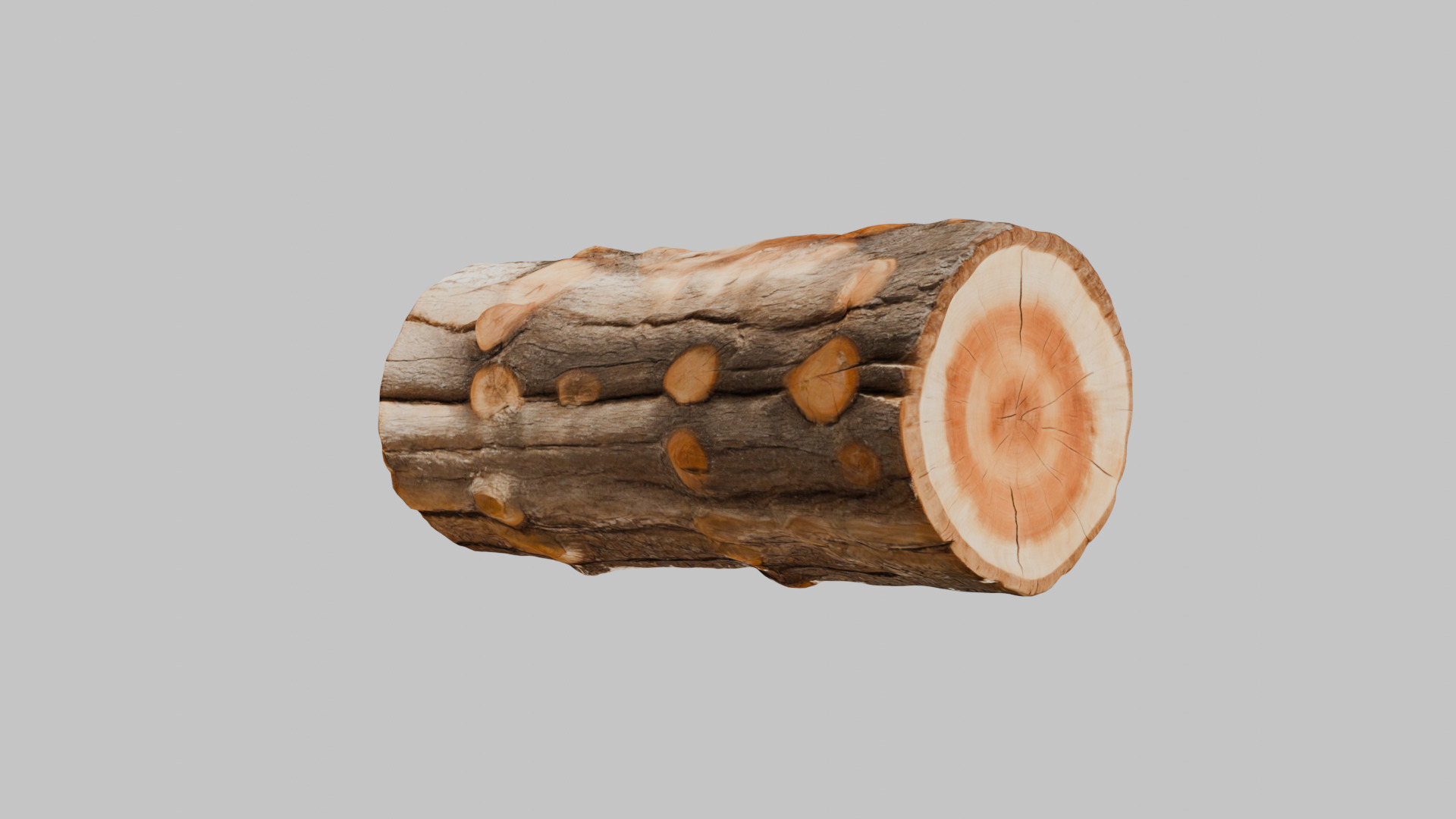 3D Firewood Log - Realistic Model Low-poly 3D model_9