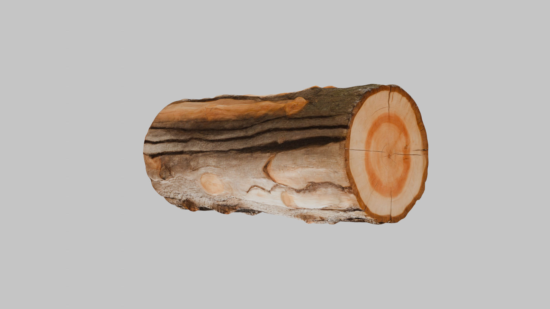 3D Firewood Log - Realistic Model Low-poly 3D model_2