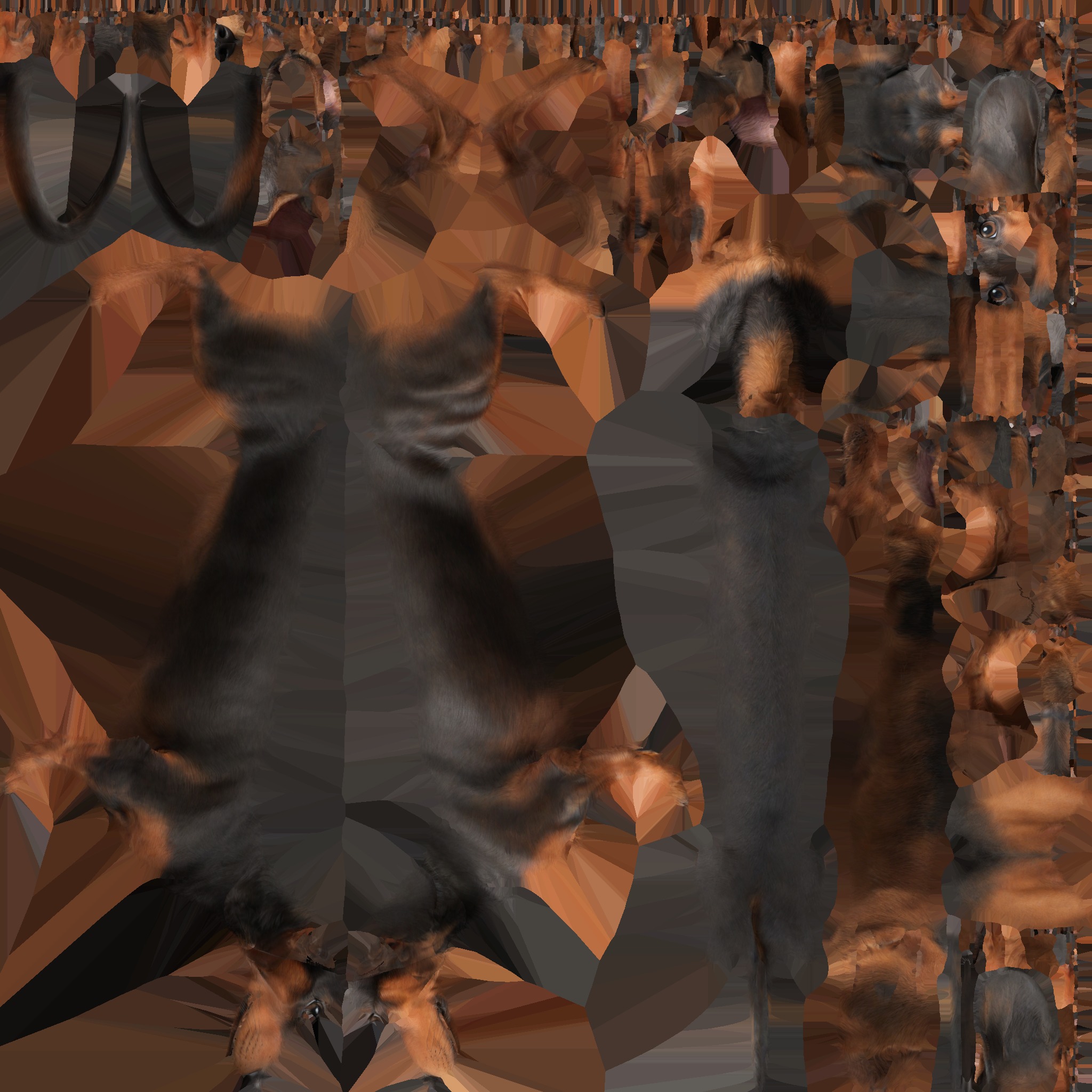 A realistic Dachshund Dog Low-poly 3D model_16