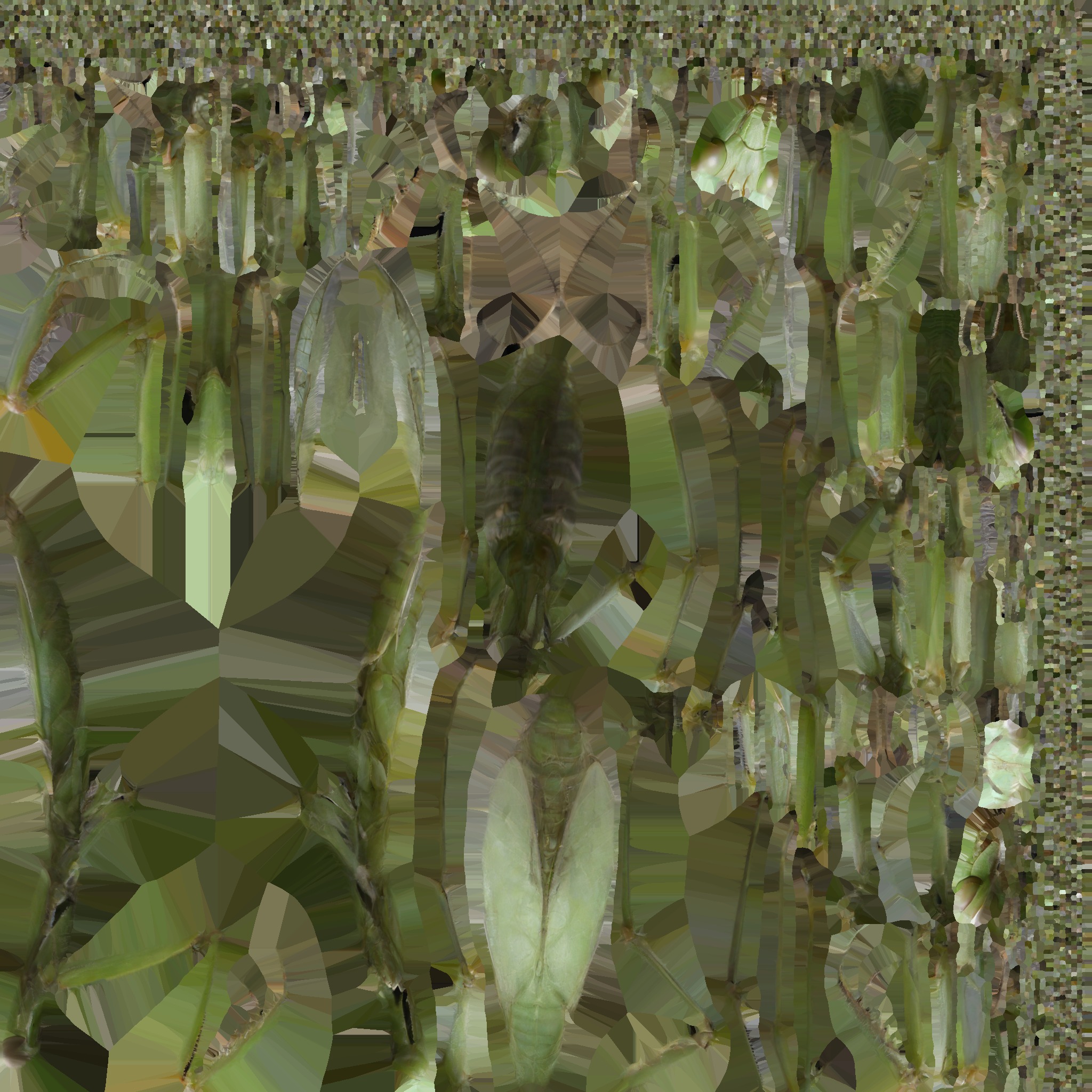 Green mantis insect Low-poly 3D model_16