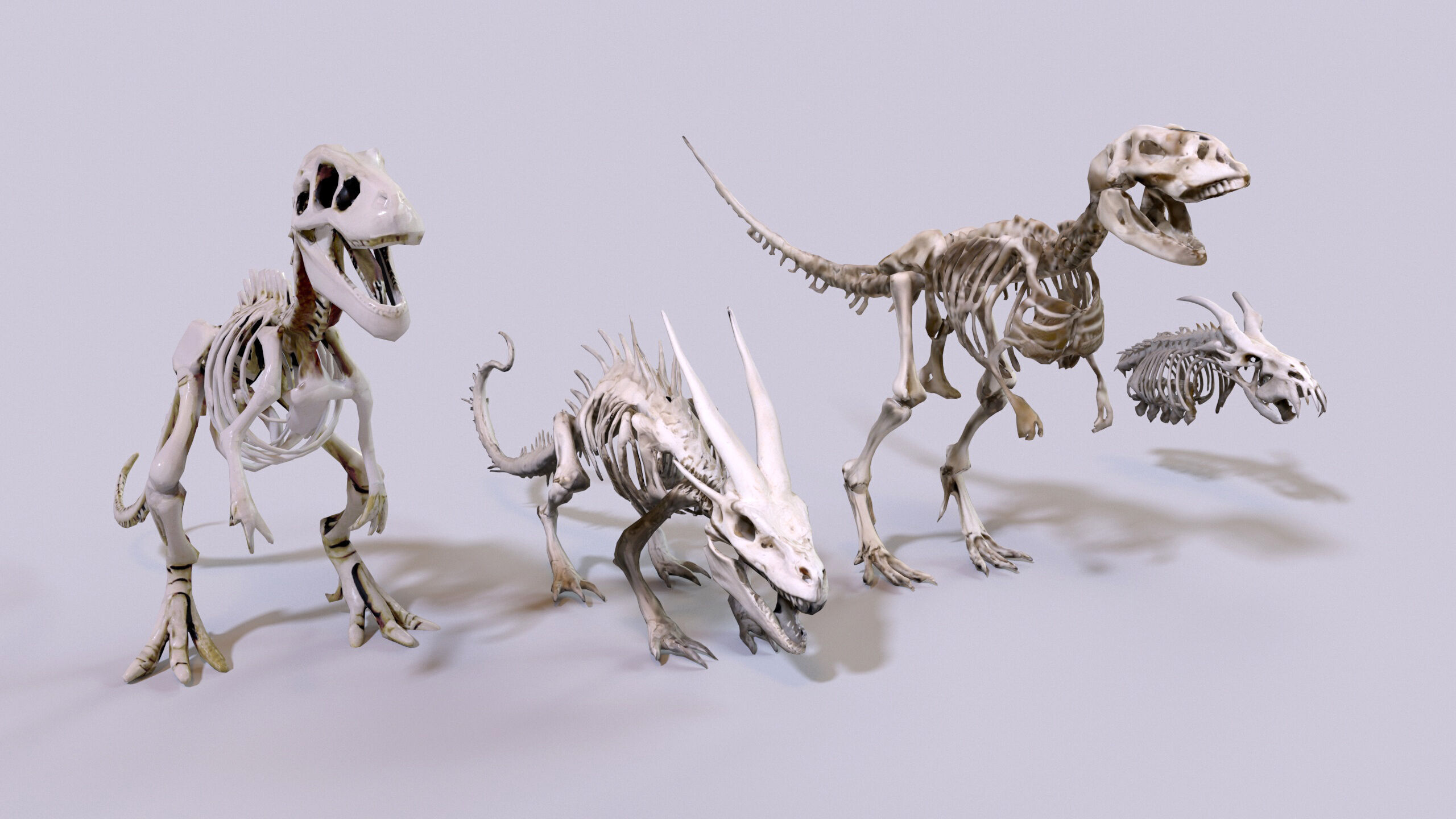 Ultimate Skeleton and Skull Pack - 62 game-ready lowpoly assets Low-poly 3D model_3