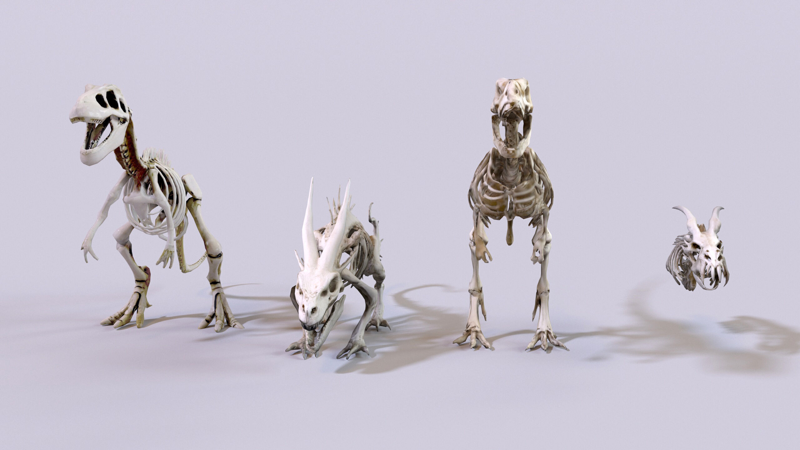 Ultimate Skeleton and Skull Pack - 62 game-ready lowpoly assets Low-poly 3D model_4