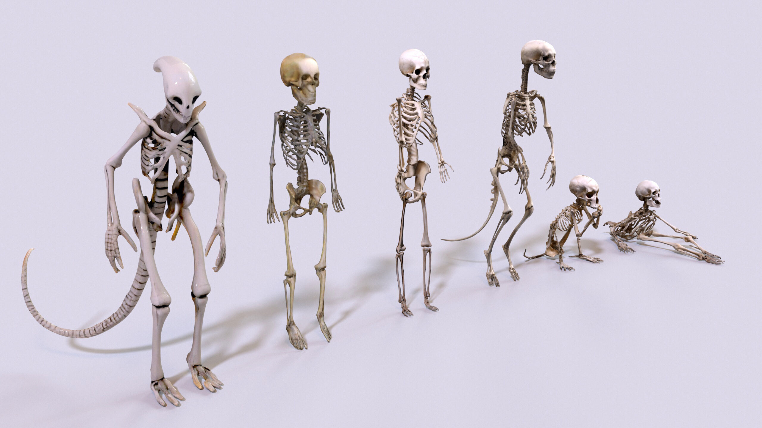 Ultimate Skeleton and Skull Pack - 62 game-ready lowpoly assets Low-poly 3D model_11